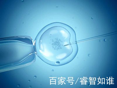 试管供卵公司